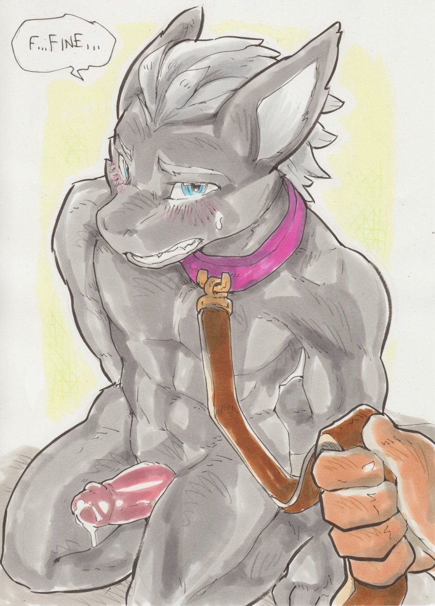 askareth collar daigaijin english_text leash looking_at_viewer penis precum sergal text