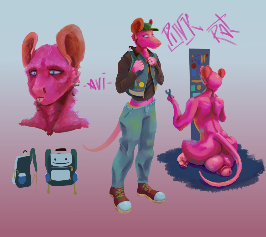 adopt anthro avi.possum balls big_balls genitals girly hi_res male mammal model_sheet murid murine pink_body rat rodent sad slim solo