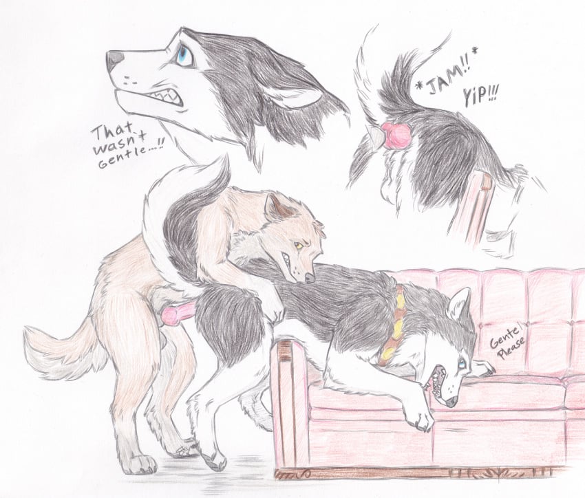 balto balto_(film) blue_eyes canine feral feral_on_feral husky male mammal skyfifer sofa steele_(balto) traditional_media_(artwork) wolf yaoi