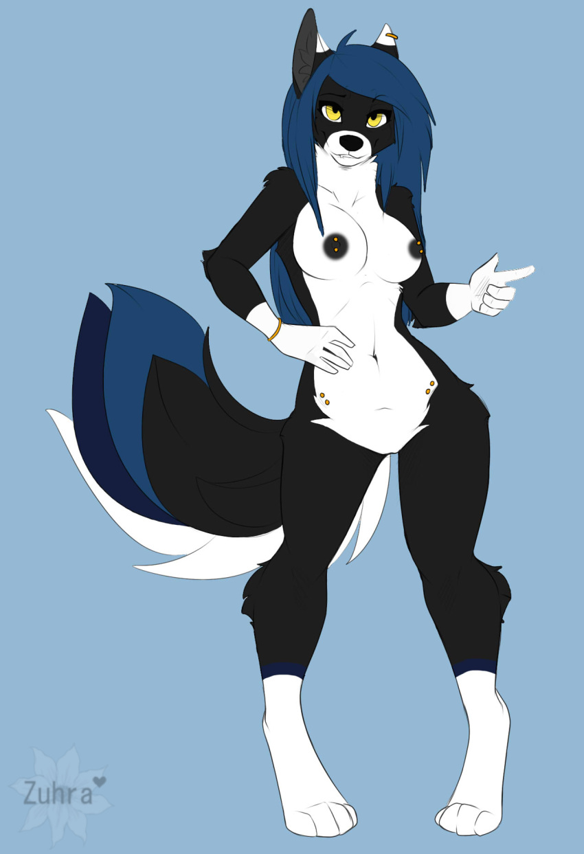 2016 aimi alitica anthro areola black_fur blue_hair breasts canine casual_nudity female fur hair husky long_hair looking_at_viewer mammal navel nipples nude piercing simple_background smile solo standing white_fur yellow_eyes zuhra