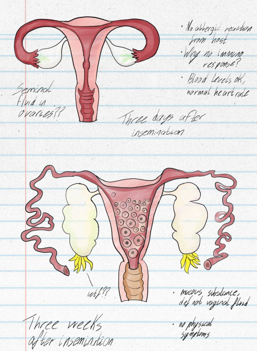 1girls amphibian anatomically_correct bestiality_impregnation bodily_fluids cervix cloacal cum diagram egg ejaculation endometrium fallopian_tubes female feral fictional_species frog genital_fluids genitals hi_res human humanoid impregnation jackrourke343 labia_minora laboratory mammal myometrium notebook notebook_paper_background ovaries penetration perimetrium pussy questionable_consent reproductive_anatomy reproductive_system science_fiction solo story story_at_source story_in_description transformation transformation_by_substance uterus vaginal_penetration zoophilia