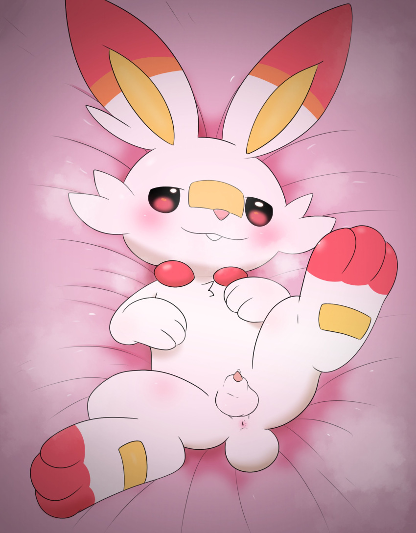 absurd_res animal_genitalia anus bed blush bodily_fluids feral fur furniture generation_8_pokemon genital_fluids genitals hi_res lagomorph lying male mammal nintendo on_back on_bed penis penis_tip pink_bedding pokemon pokemon_(species) precum presenting scorbunny sheath sleazychuad solo spread_legs spreading tapering_penis white_body white_fur