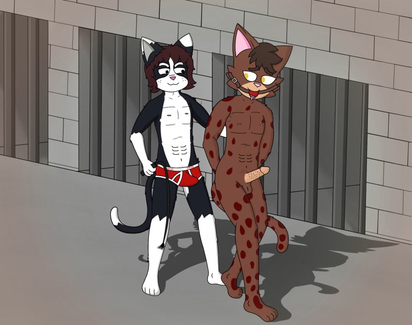 Bengal Cat Rule 34 Image