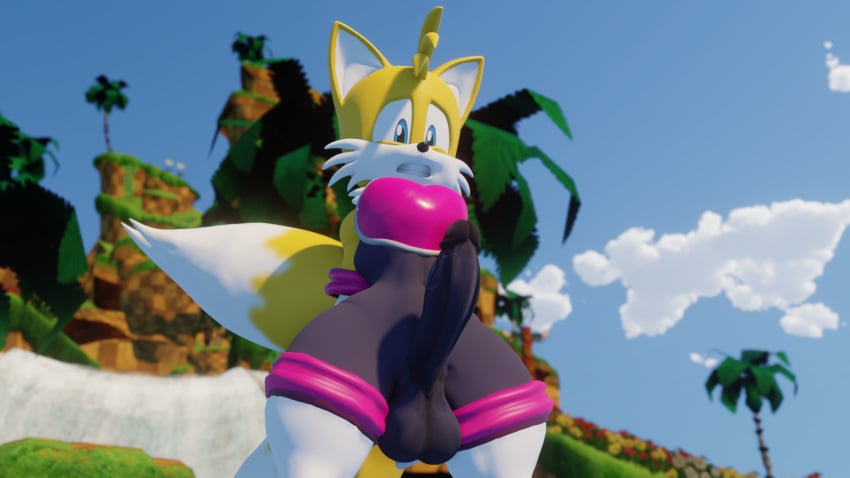 3d anthro bodysuit cock_and_balls crossdressing curvy_figure embarrassed_male erect_penis erection erection_under_clothes femboy male male_only neckline no_humans non-human non-human_only rouge_the_bat_(cosplay) sonic_(series) spandex_suit tails tails_the_fox thick_thighs twintails3d wide_hips