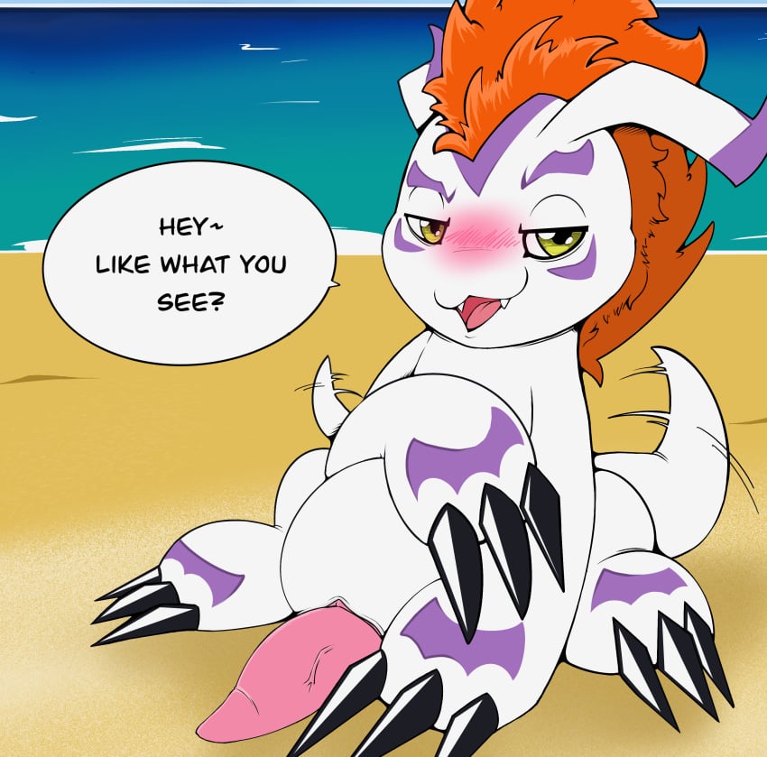 absurd_res bandai_namco beach blush claws dialogue digimon digimon_(species) feral genitals gomamon hi_res male penis solo talking_to_viewer vein veiny_penis wax_feather