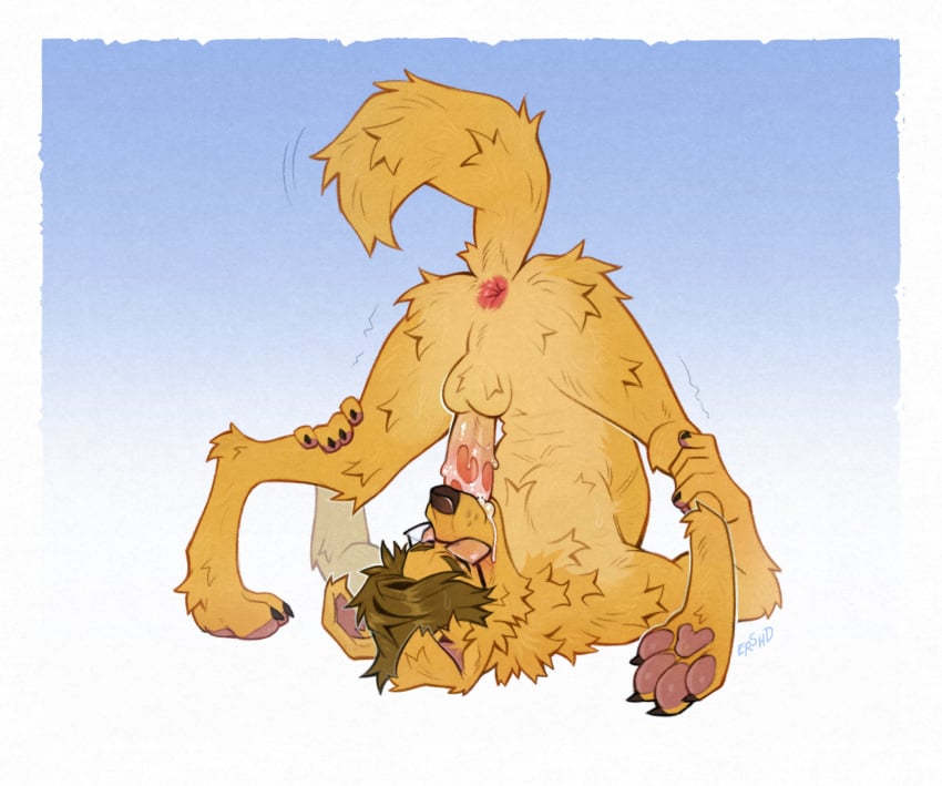 2026 Rule 34 Image
