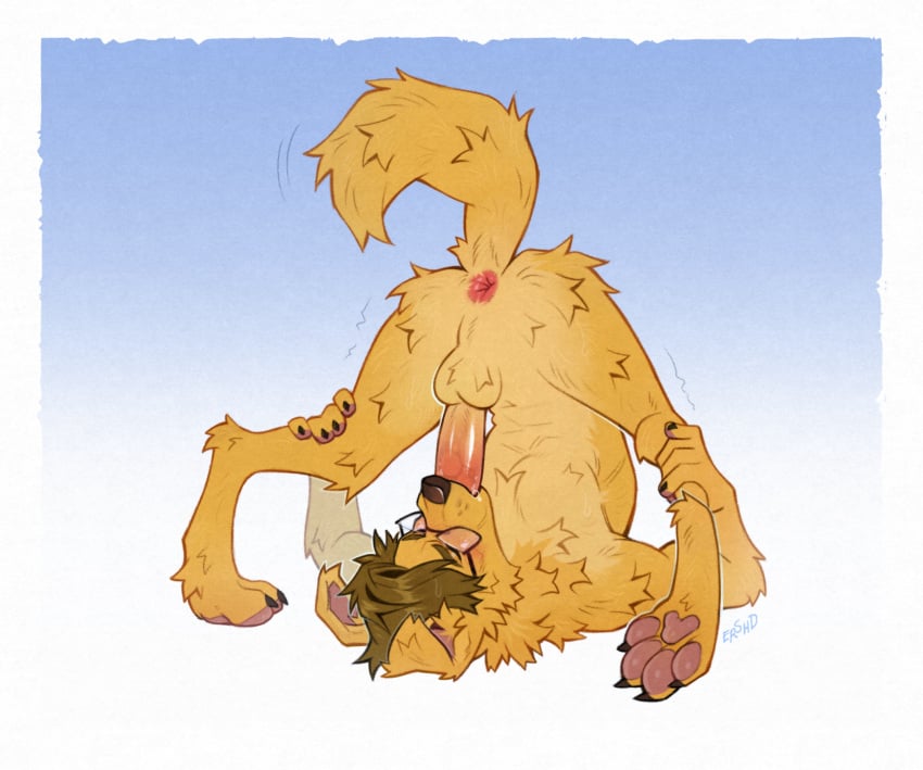2026 Rule 34 Image
