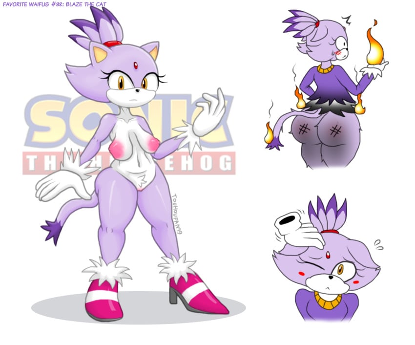 blaze_the_cat sonic_(series) sonic_the_hedgehog_(series) tagme touhoufan