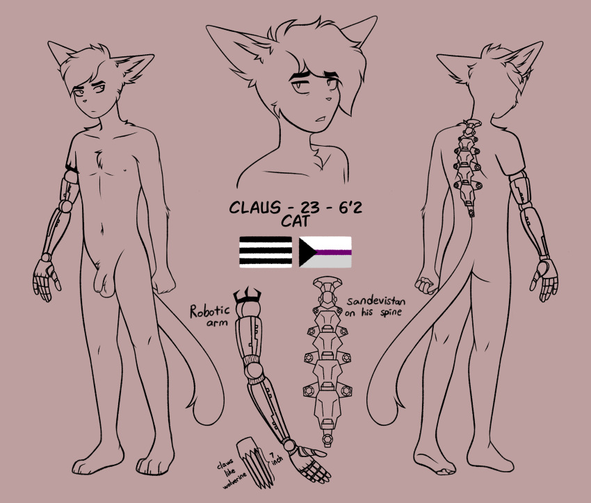 anthro claus_(timmy_rap_1o1) cyberpunk demisexual_pride_colors domestic_cat felid feline felis genitals hi_res humanoid lemonpuff lgbt_pride male male_only mammal model_sheet penis pride_colors robotic_arm robotic_claws robotic_limb solo straight_pride_colors tuxedo_cat unfinished