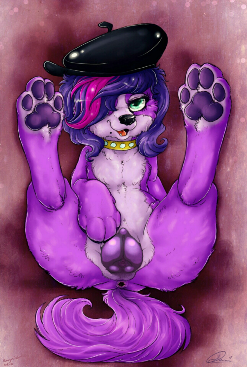 1girls 4_toes abstract_background anatomically_correct anatomically_correct_pussy animal_genitalia animal_pussy anus ass canine canine_pussy claws clitoris collar digitigrade dimwitdog feet female female_only feral foot_focus fur furry hair hair_over_eye hasbro hat hindpaw littlest_pet_shop looking_at_viewer lying mammal nude on_back open_mouth pawpads paws presenting presenting_pussy puffy_pussy purple_fur pussy simple_background smile soles solo spread_legs spreading tail text toes watermark wide_hips zoe_trent