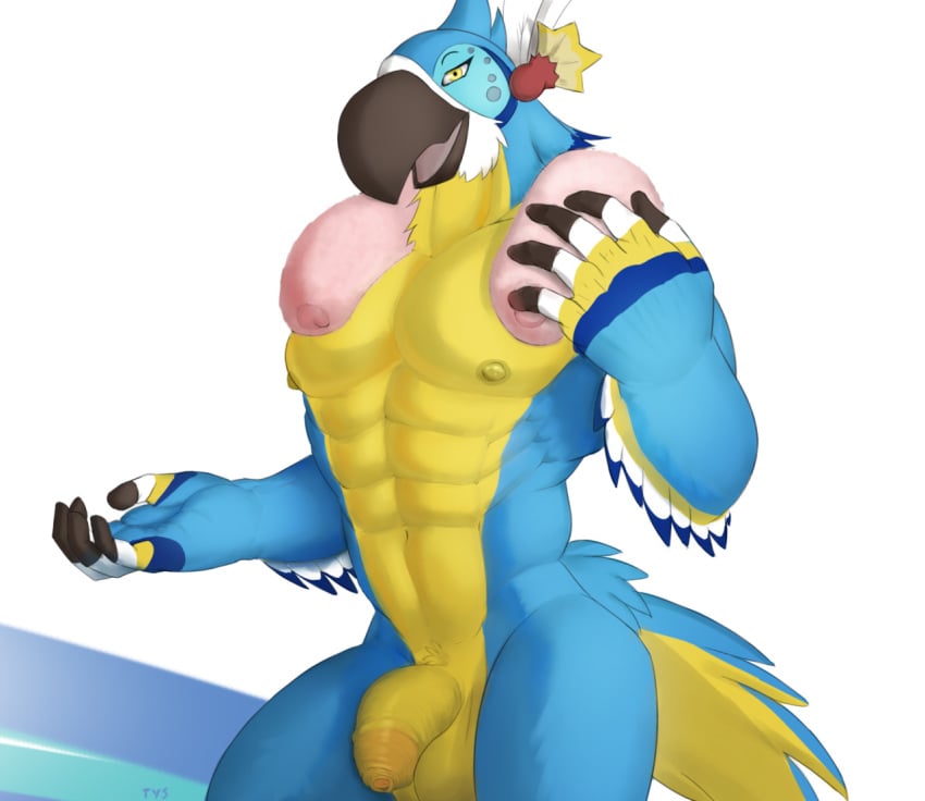 1boy abs anthro avian balls break breath_of_the_wild flaccid humanoid_penis kass_(zelda) male male_only muscular nintendo nude pecs penis pinup pose rito seyrmo signature smile solo the_legend_of_zelda uncut video_games