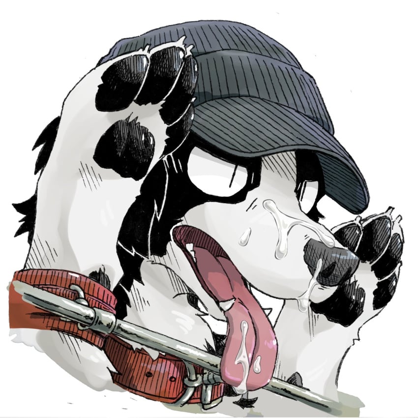 arm_restraints black_body black_fur black_pawpads bodily_fluids border_collie canid canine canis claws clothing collar collie cum cum_on_face cum_on_snout cum_on_tongue domestic_dog fangs feral fur genital_fluids hat headgear headshot_portrait headwear herding_dog hi_res hot_dog_wolf male mammal open_mouth pastoral_dog pawpads portrait pupils red_collar red_tongue sheepdog simple_background slit_pupils snout solo teeth tongue tongue_out white_background white_body white_fur