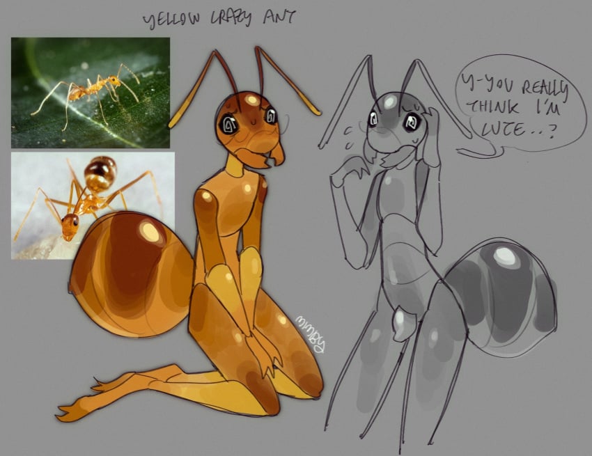 ambiguous_gender ant antennae_(anatomy) anthro arthropod arthropod_abdomen english_text exoskeleton grey_background hi_res hymenopteran insects reference_image shy simple_background solo solo_focus spiral_eyes text vampfemby yellow_body yellow_crazy_ant yellow_exoskeleton