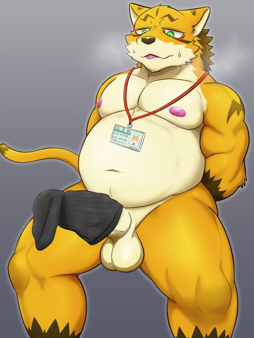 0hou2ryu balls belly big_belly bodily_fluids canid canine canis clothing footwear genitals hand_behind_back hi_res humanoid_genitalia male mammal name_tag nipples nude socks solo sweat sweatdrop tail wolf