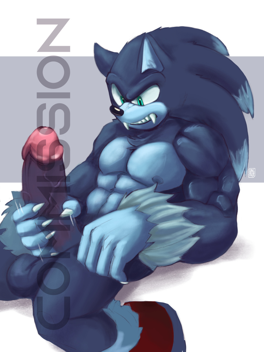 anthro balls big_penis boner brutalhero erection furry male male_only masturbation penis sega solo solo_male sonic_(series) sonic_the_hedgehog sonic_the_hedgehog_(series) sonic_the_werehog sonic_unleashed werehog