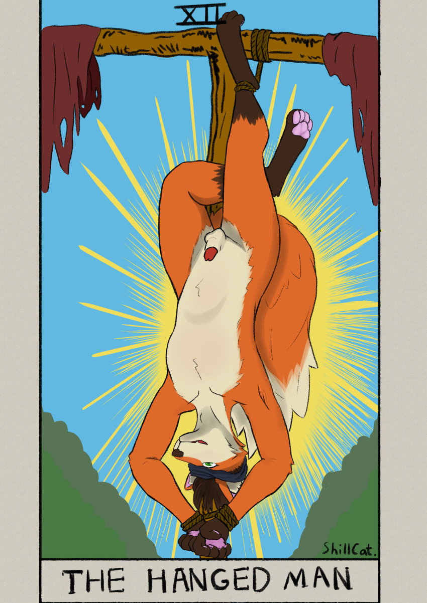 1boy absurd_res animal_genitalia animal_penis anthro canid canine canine_genitalia canine_penis card fine_art_parody fox genitals half-erect hi_res major_arcana male male_only mammal one_eye_obstructed pawpads penis public_domain red_fox rope shillcat solo tail tarot tarot_card the_hanged_man_(tarot) true_fox upside-down