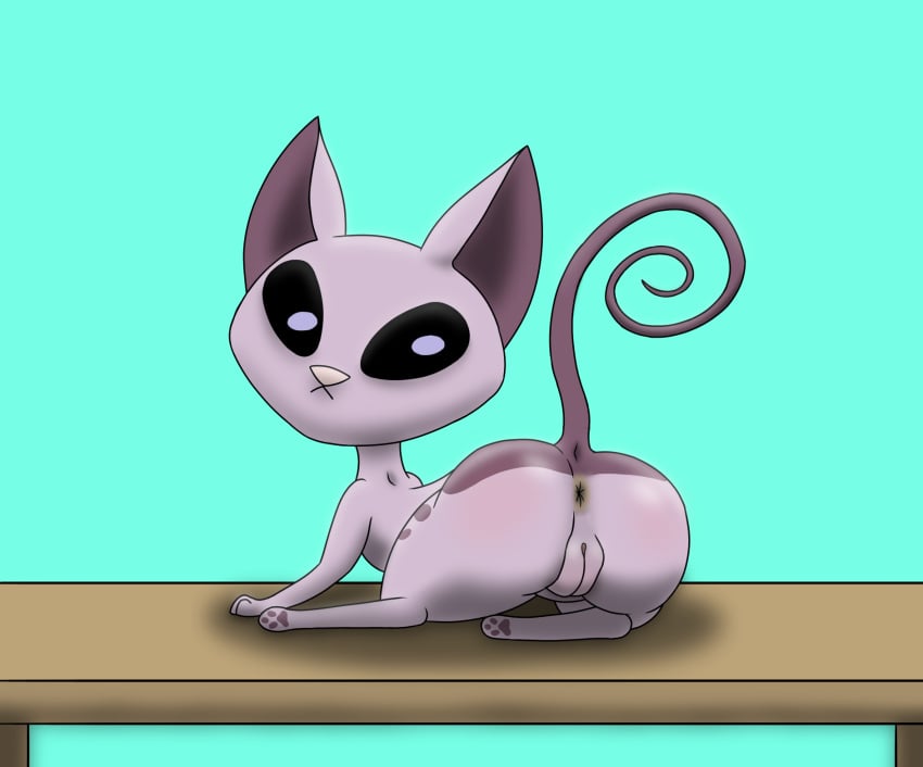 Mr. Kat (Kid Vs. Kat) Rule 34 Image