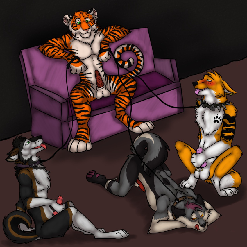 anthro balls blush bondage canine collar couch deadlyvelociraptor erection feline fox gay_domination jay-lel leash male male/male male_focus male_only maledom malesub masturbation multiple_males multiple_subs penis presenting spreader_bar theflirtingfeline tiger