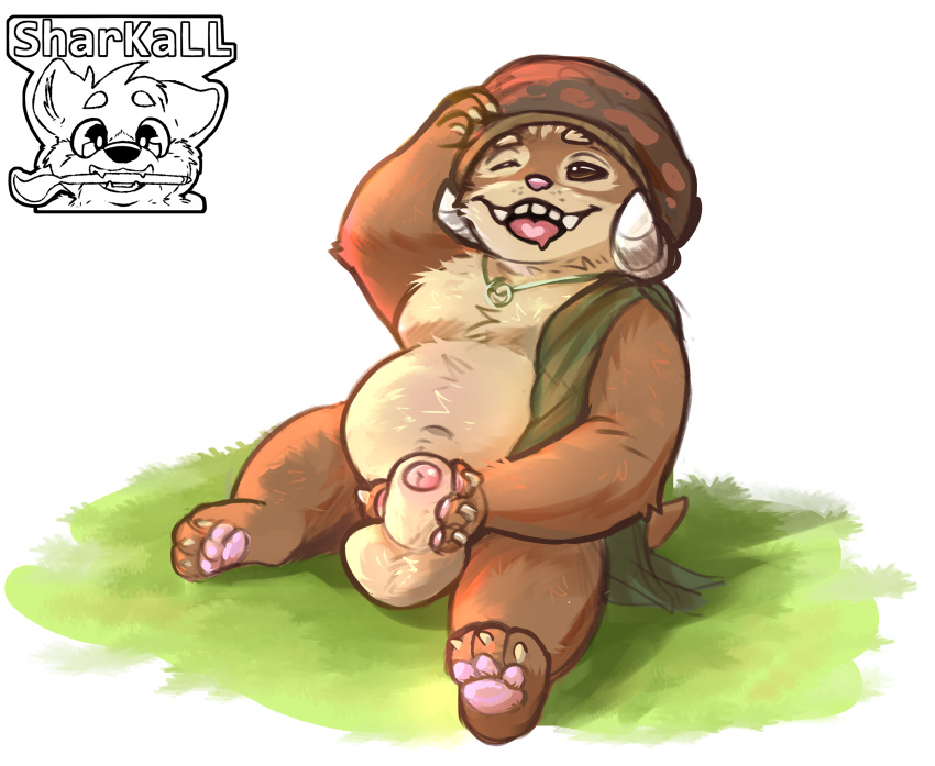 Anthro Rule 34 Image