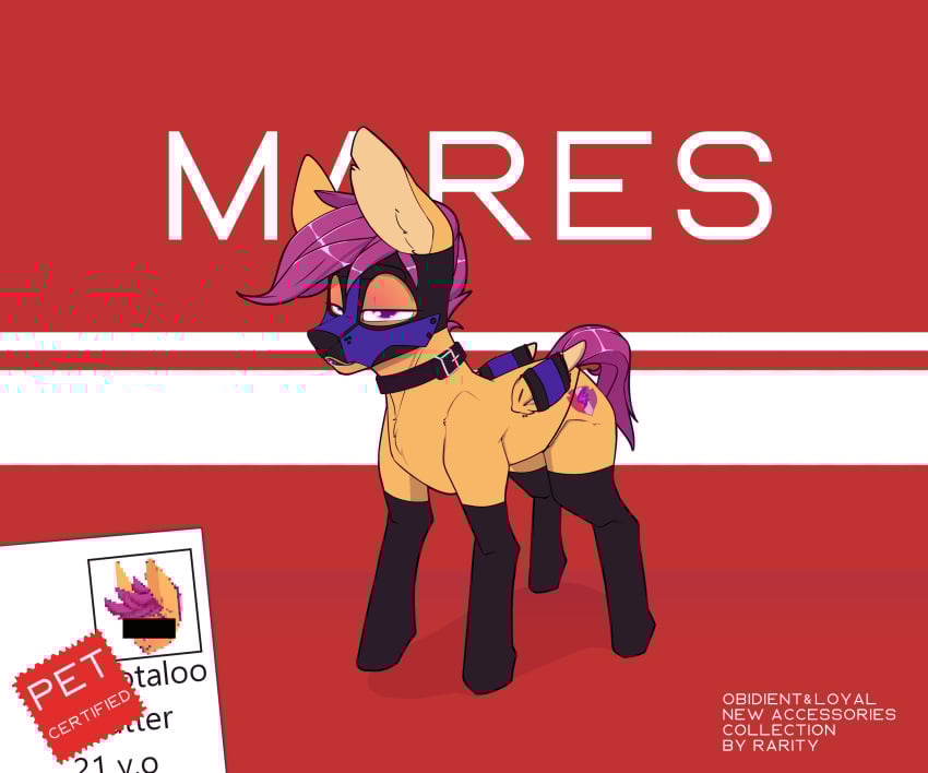 6:5 absurd_res aged_up bondage bondage bound chapaevv clothing collar cutie_mark digital_media_(artwork) english_text equid equine feathered_wings feathers female feral friendship_is_magic hair hasbro hi_res horse legwear mammal mask my_little_pony older_scootaloo_(mlp) pony scootaloo_(mlp) simple_background solo tail text weekend_pets wing_suspenders wings wings_tied