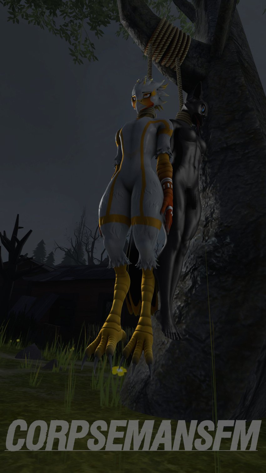 bird corpse corpsemansfm dead death duo female furry guro hanged hung male naked sfm source_filmmaker