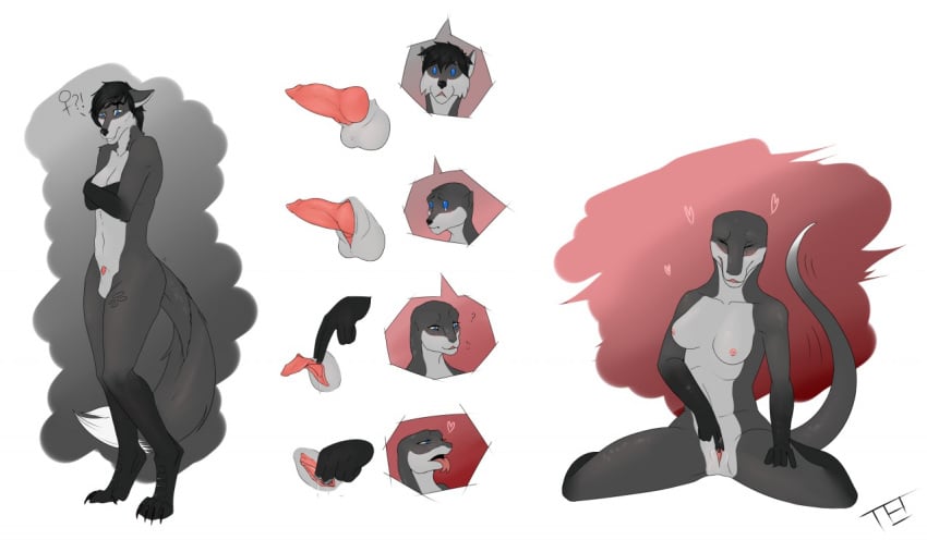 2017 animal_genitalia animal_penis anthro artist_logo balls balls_shrinking biped black_hair black_markings black_nose blue_eyes blush bodily_fluids breasts canid canine canine_genitalia canine_penis close-up closed_eyes colored countershade_face countershade_neck countershade_torso countershading covering covering_breasts dipstick_tail erection female female_symbol finger_fuck fingering forefox forked_tongue fox front_view gender_symbol gender_transformation genital_close-up genital_fluids genitals genitals_shrinking gloves_(marking) grey_body hair heart_symbol knot leg_markings lizard logo looking_down_at_self male mammal markings masturbation motion_lines mtf_transformation navel nipples non-mammal_breasts non-mammal_nipples non-mammal_pussy nude open_mouth penis penis_close-up penis_shrinking pussy pussy_close-up question_mark reptile scalie shaded sheath simple_background sitting sitting_on_ground smile socks_(marking) solo species_transformation spread_legs spreading standing symbol tail tail_markings tail_motion tailwag tears theeldertrinity three-quarter_view tongue tongue_out transformation transformation_sequence vaginal_fluids vaginal_masturbation vaginal_penetration white_background white_body white_countershading white_markings