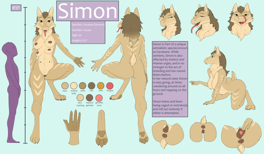 2017 animal_genitalia animal_pussy anthro anus ass backpussy breasts canine_pussy cerulean english_text female fur gewitter hair model_sheet multi_breast nipples nude pawpads puffy_anus pussy simon_(mizkana) simple_background smile solo spreading text tongue