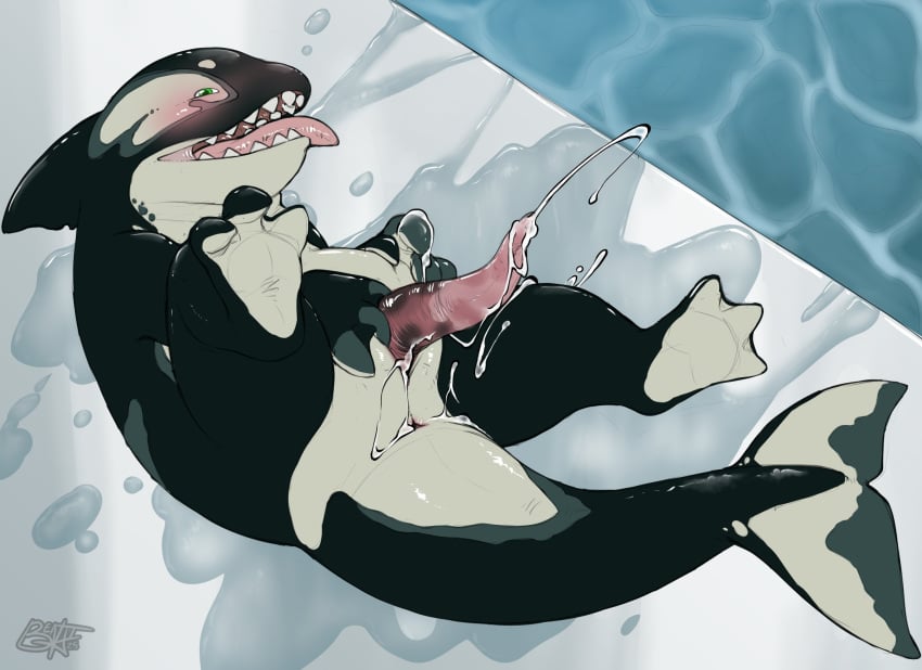 anthro artty_(benji) benji_(artist) blush bodily_fluids cetacean cum cumshot dolphin ejaculation genital_fluids hi_res male mammal marine masturbation oceanic_dolphin orca solo swimming_pool tongue tongue_out toothed_whale