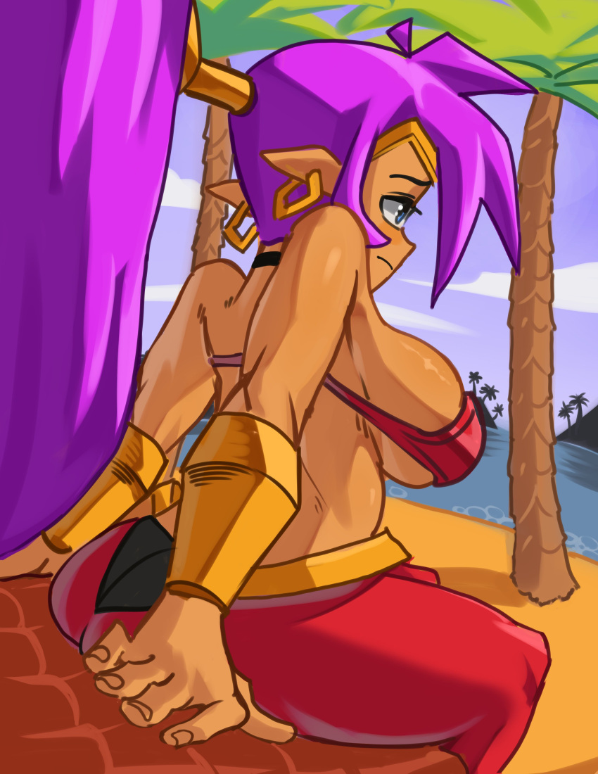 Shantae (Character) Rule 34 Image