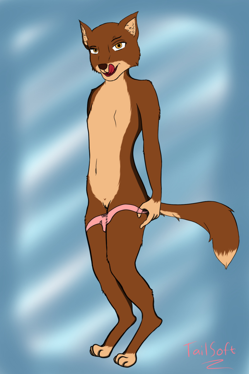2017 Rule 34 Image