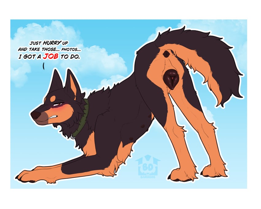 Quiver (Barndog) Rule 34 Image
