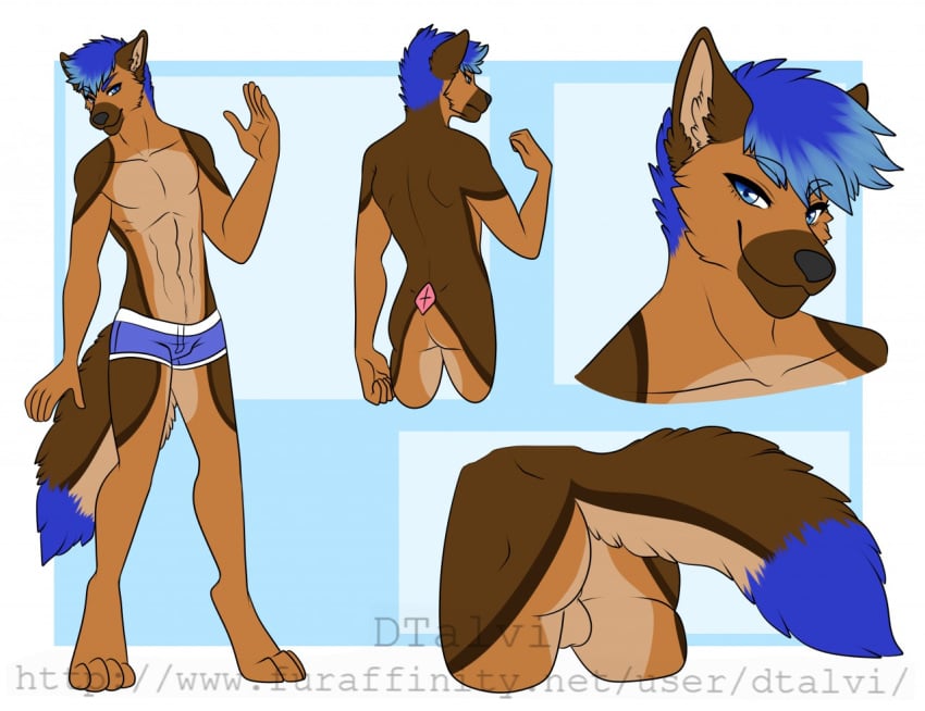 1boy abs anthro balls canine clothing dtalvi fur hair looking_at_viewer male male_only mammal model_sheet smile solo underwear