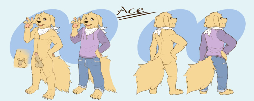 ace_retriever alternate_version_available anthro balls barefoot canine canine cerb0980 clothed clothing erection flaccid flat_colors front_view fully_clothed golden_retriever hand_on_hip hikuchi hoodie looking_at_viewer male mammal model_sheet mostly_nude neckerchief pawpads penis rear_view retracted_foreskin solo standing uncut waving