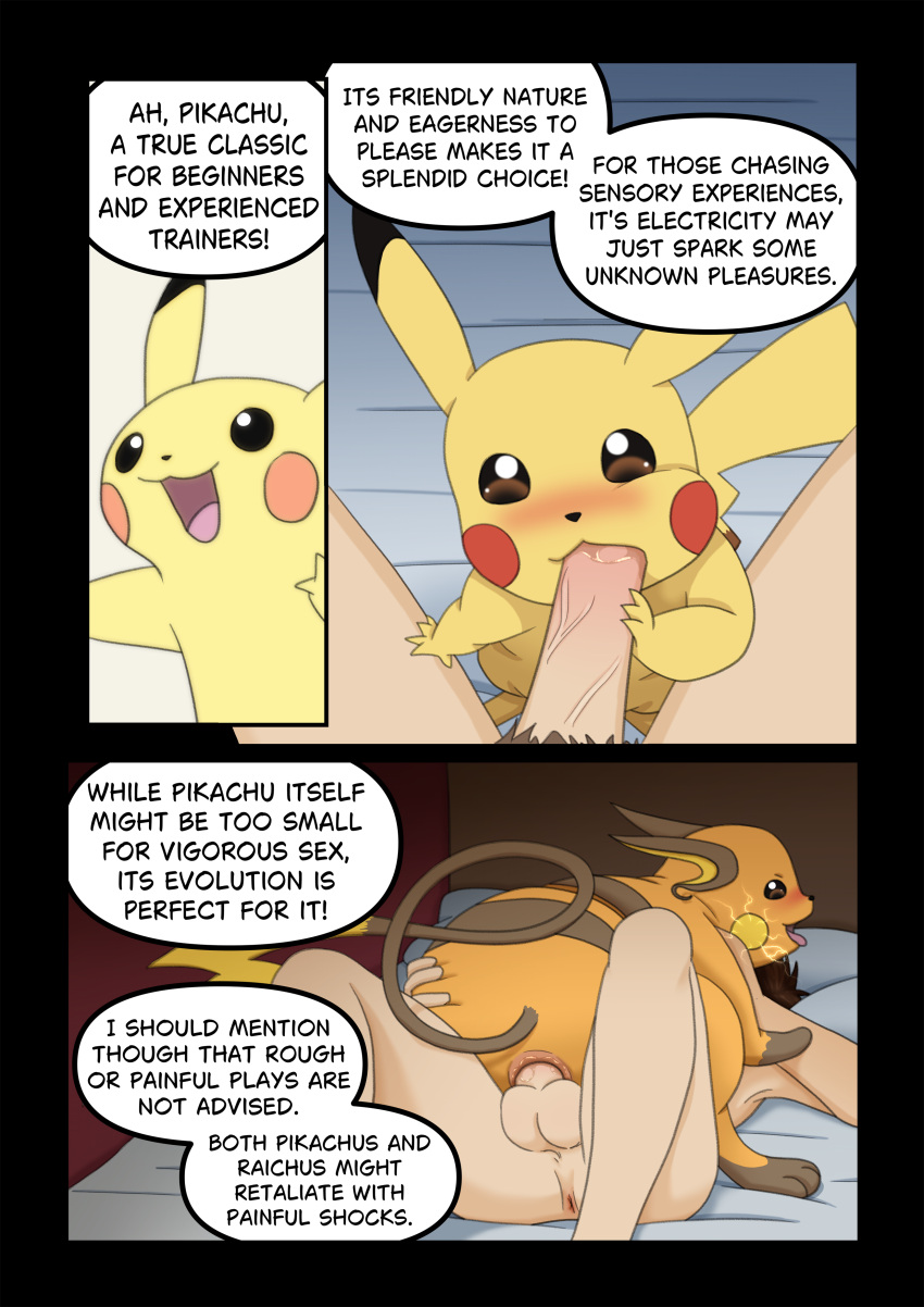 Pokemon (Species) Rule 34 Image