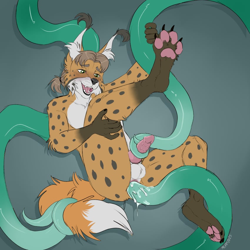 Frostclaw (Forstpaw) Rule 34 Image