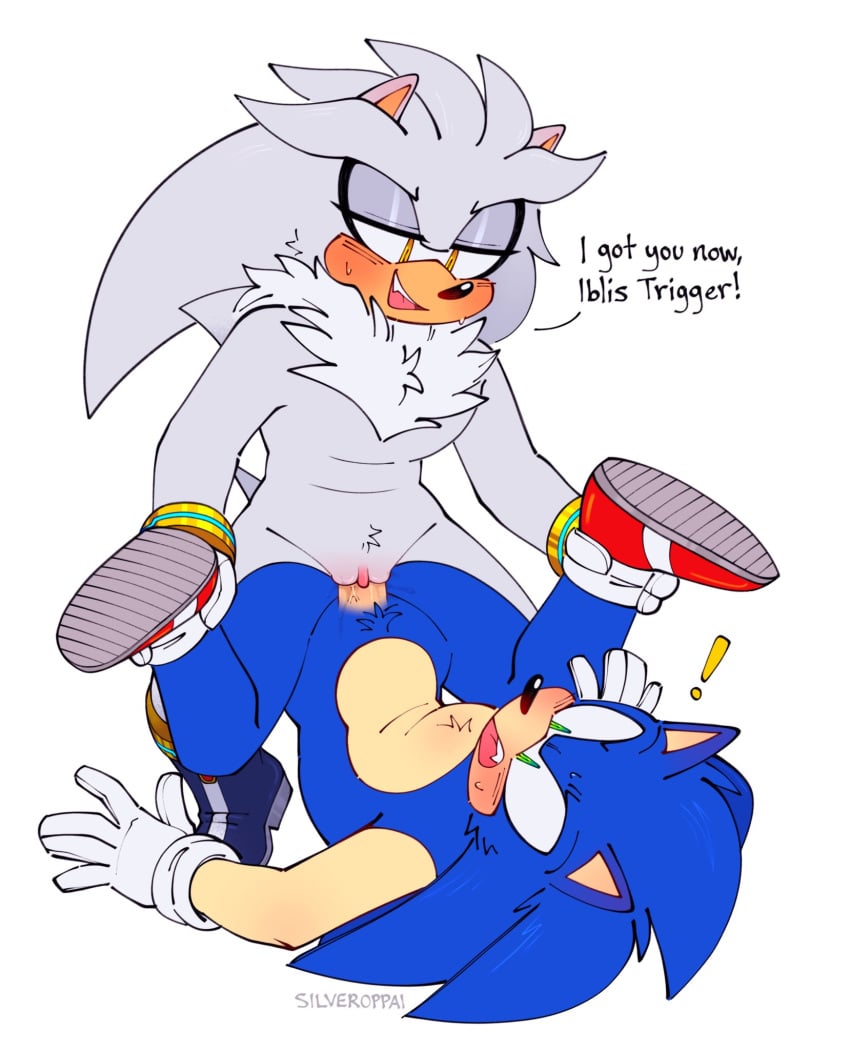 Silver The Hedgehog (Sega) Rule 34 Image
