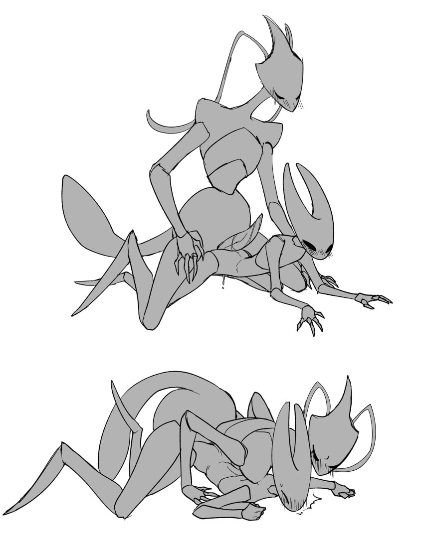 Hornet (Hollow Knight) Rule 34 Image