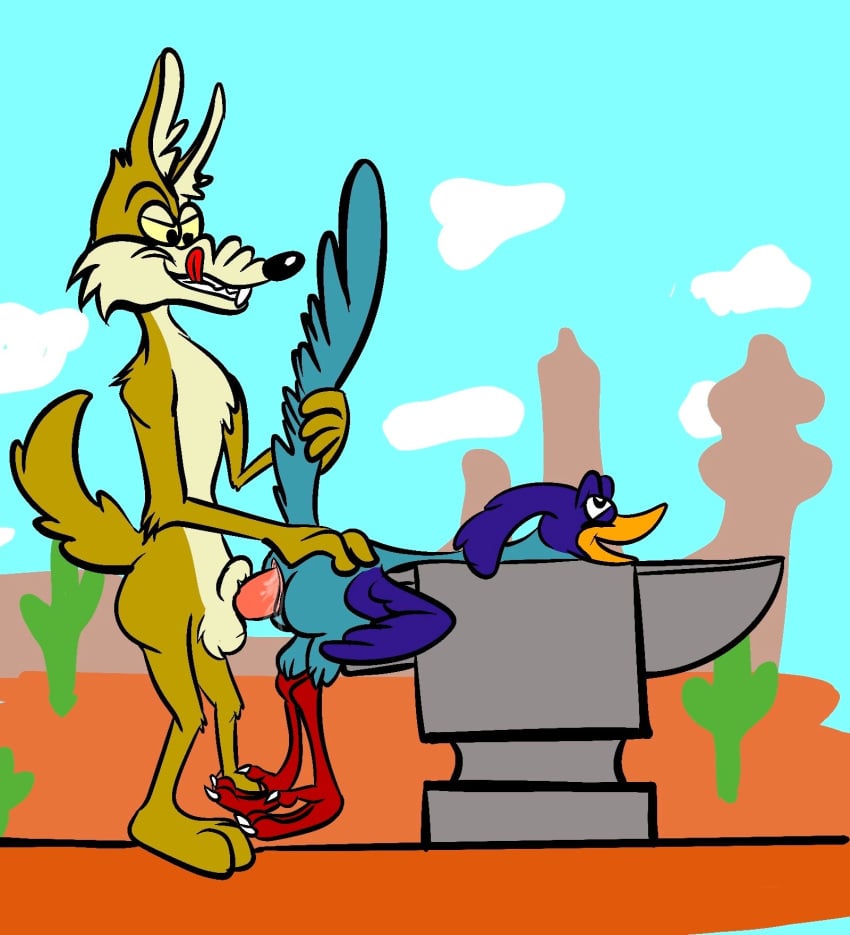 Road Runner (Looney Tunes) Rule 34 Image