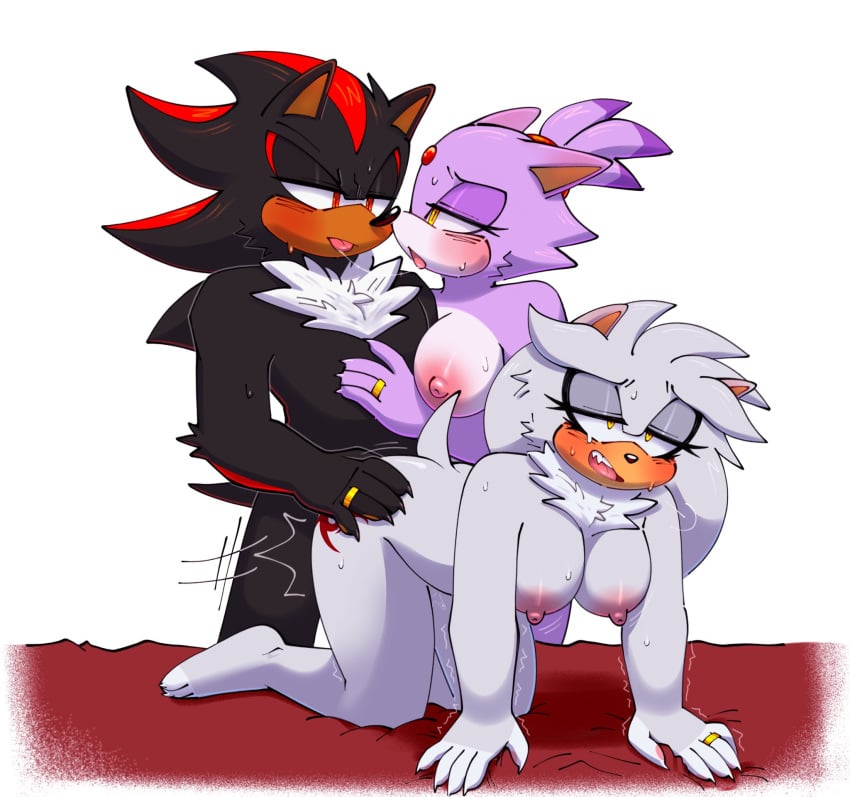 Blaze The Cat (Sega) Rule 34 Image