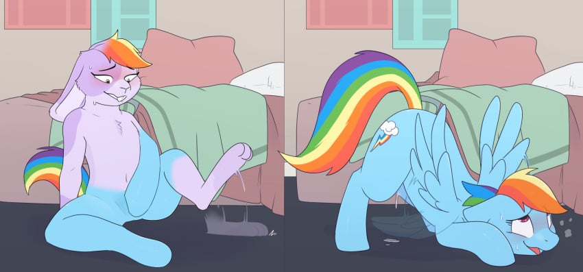 Rainbow Dash (Mlp) Rule 34 Image