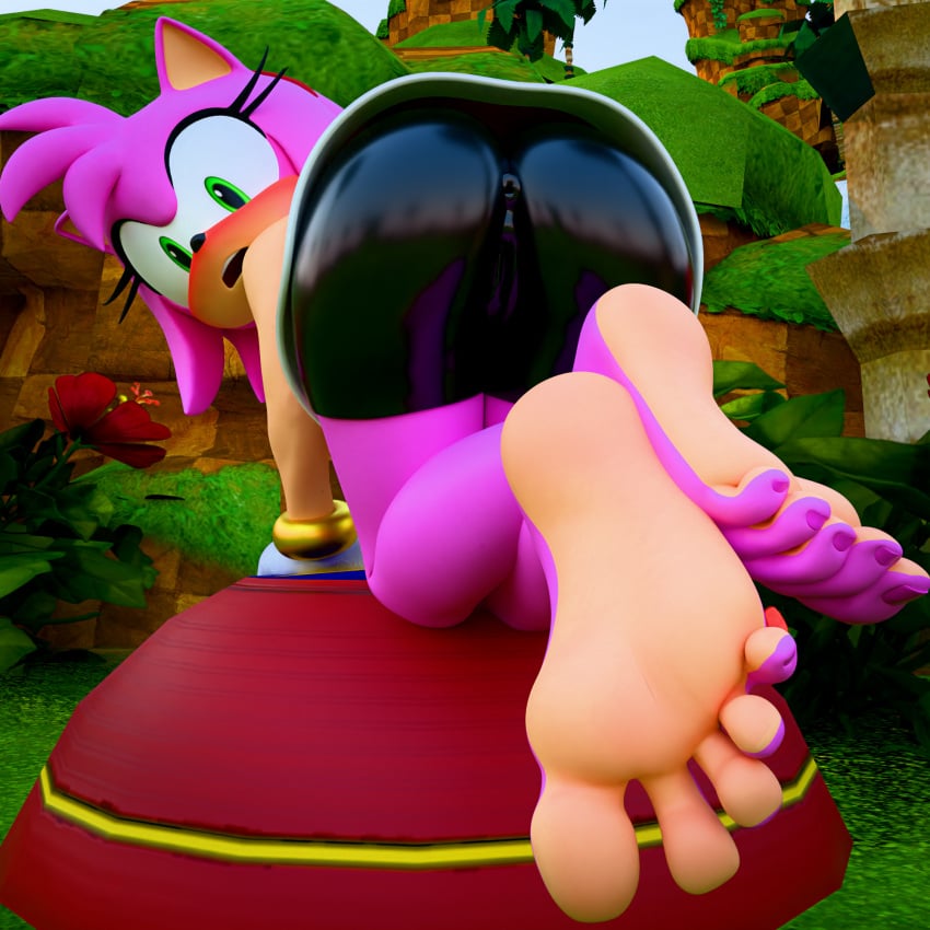 Amy Rose (Sega) Rule 34 Image