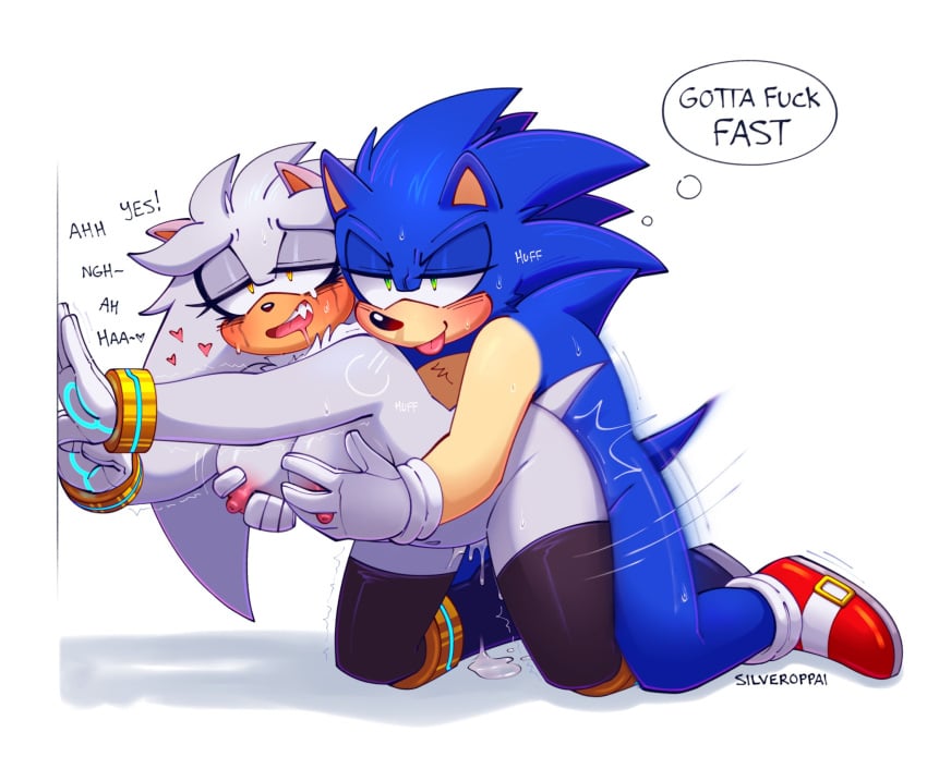 Silver The Hedgehog (Sega) Rule 34 Image