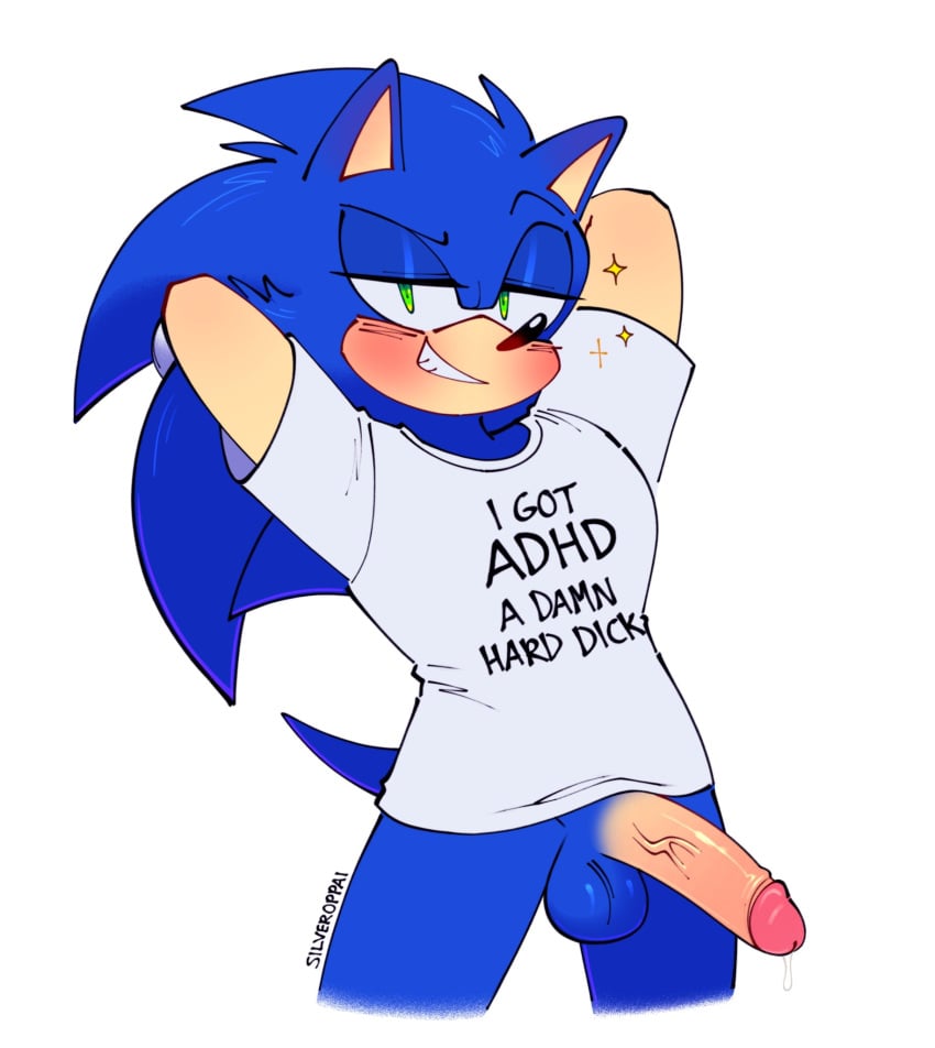 Sonic The Hedgehog (Sega) Rule 34 Image
