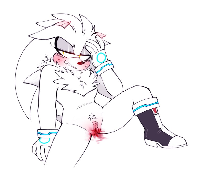 Silver The Hedgehog (Sega) Rule 34 Image