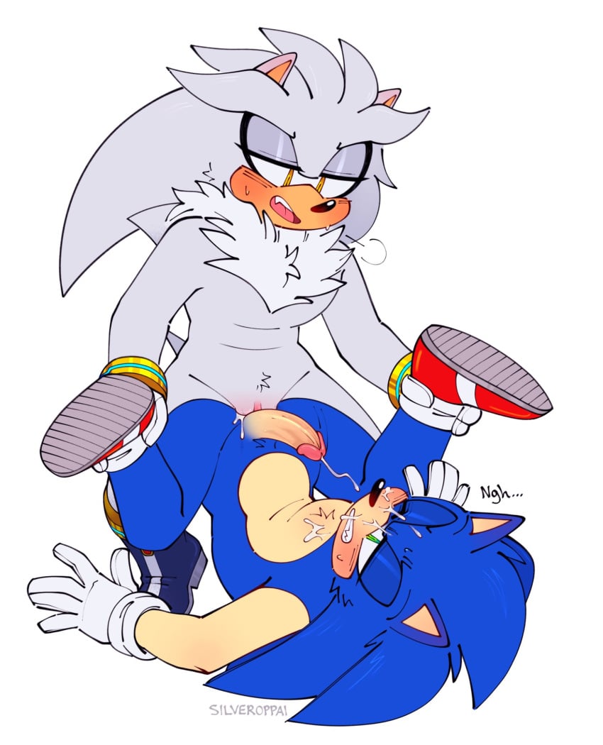 Silver The Hedgehog (Sega) Rule 34 Image