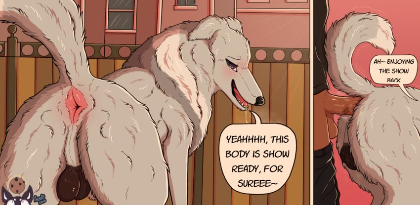 Sterling (Fixed) Rule 34 Image
