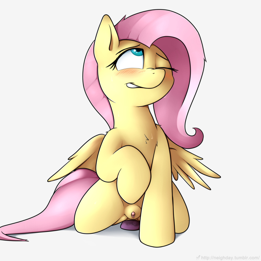 2017 anal anal_sex blue_eyes blush chest_tuft clitoris equine feathered_wings feathers female feral fluttershy_(mlp) friendship_is_magic fur hair mammal my_little_pony neighday one_eye_closed pegasus penetration pink_hair pussy solo sweat teeth toy tuft wings yellow_fur