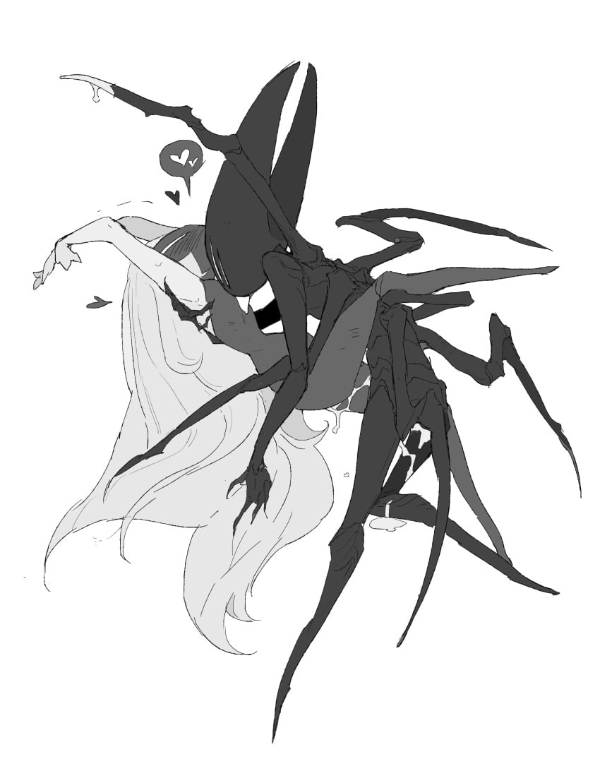 Hornet (Hollow Knight) Rule 34 Image