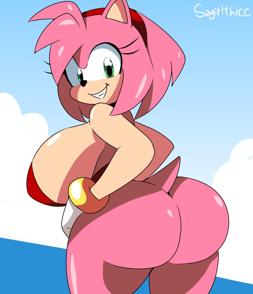 1female 1girl 1girls amy_rose anthro ass back_view big_ass big_butt bubble_butt butt female female_anthro female_focus female_only furry furry_female furry_only girl hedgehog_girl huge_butt huge_cock mobian mobian_(species) mobian_hedgehog pink_body pink_fur pink_hair pink_skin pink_skinned_female sagirlthicc sega sky smile smiling smiling_at_viewer solo solo_female sonic_(series) sonic_the_hedgehog_(series) tagme thick_ass voluptuous voluptuous_anthro voluptuous_female water