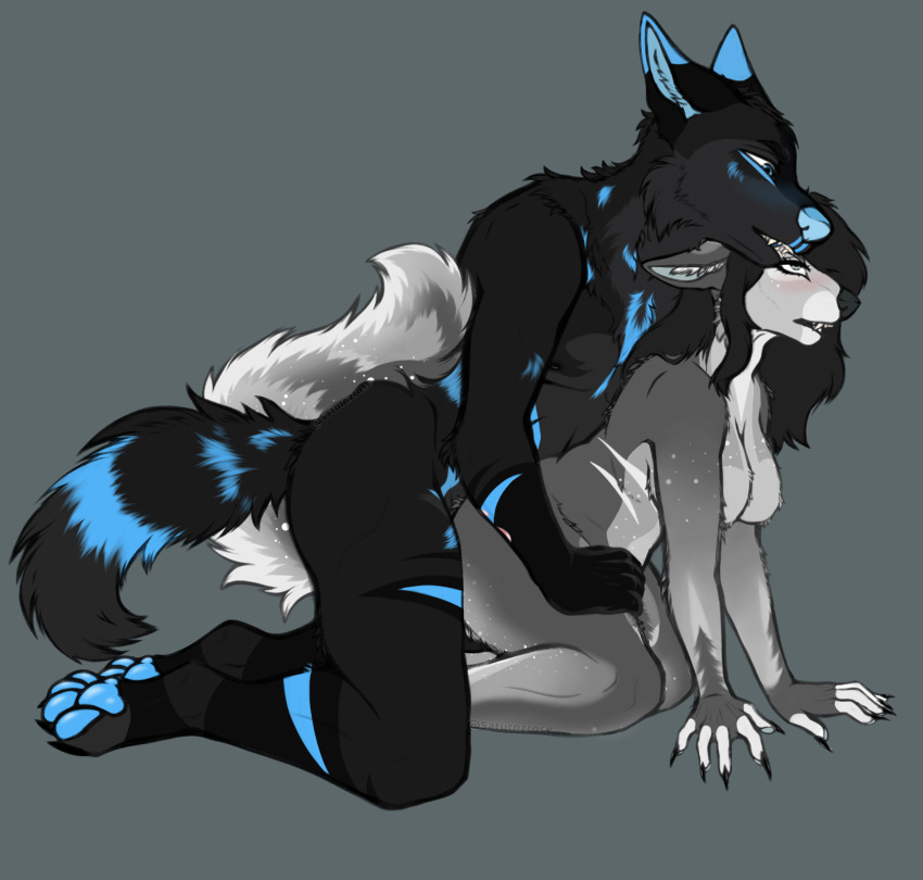 anthro_on_anthro anthro_penetrating_anthro doggy_style doggy_style doggy_style_position furry implied_doggystyle implied_penetration male/female male_penetrating_female straight straight_sex